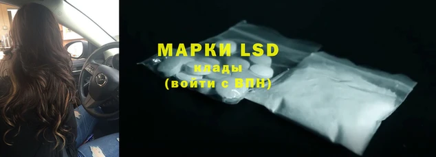 ешки Богданович
