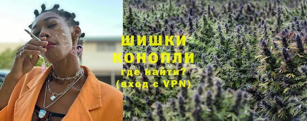 СК Богородицк