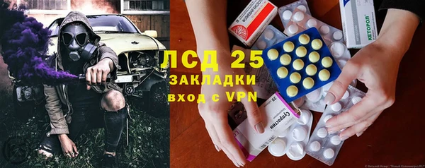 прущие грибы Белокуриха