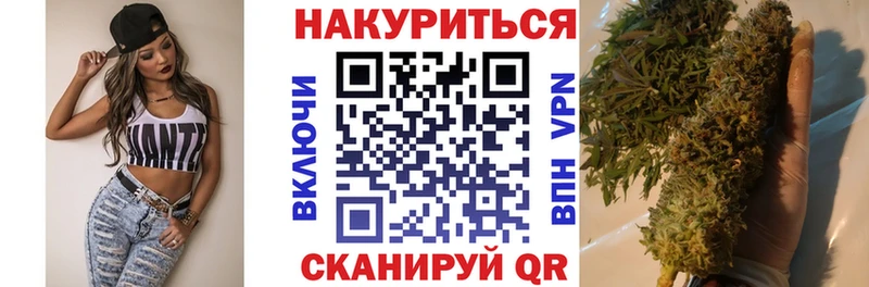 Каннабис планчик  купить наркотики цена  Павловск 